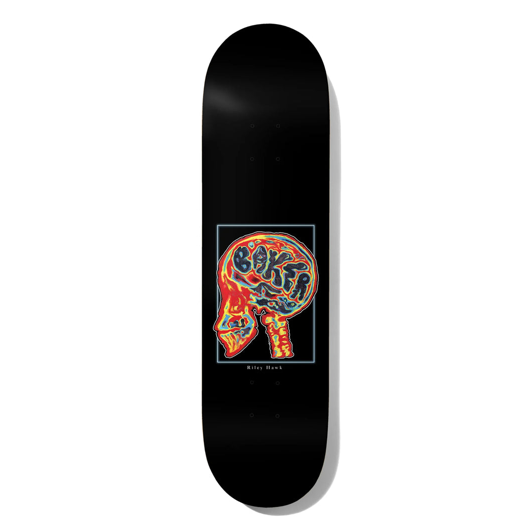 Baker Hawk Brain Donor Skateboard Deck - 8.5